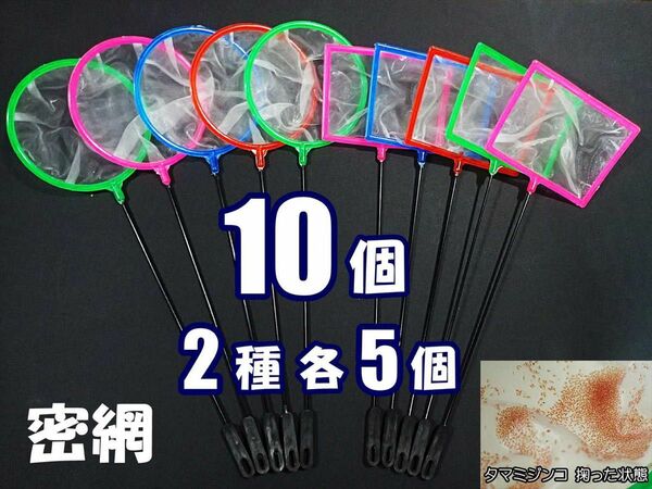 密網 ネット 10個(2種 各5個) 新品 メダカ ミジンコ 掃除用に 水槽用品