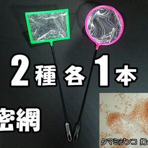 密網 ネット 2個(2種 各1個) 新品 メダカ ミジンコ 掃除用に 水槽用品