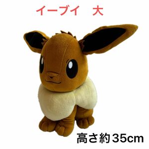 ポケモン　イーブイぬいぐるみ