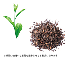 国産紅茶　2g×110P 送料無料 和紅茶 紅茶 ティーバッグ ティーパック ティー ya_画像6