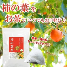 柿の葉茶 3g×40P 　～ 送料無料 かきのは茶 ティーバッグ 柿 葉 茶 健康茶 ノンカフェイン ビタミンC メール便 ya_画像6