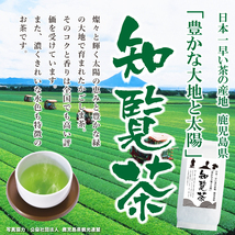 送料無料 知覧 鹿児島茶 100g×3袋セット　　お茶 緑茶 煎茶 茶 茶葉 お茶葉 鹿児島 九州 国産 深蒸し 深むし 健康 健康茶_画像2