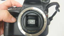 1448 Canon EOS Kiss X7 EF-S 18-55mm F3.5-5.6 IS STM EF-S 55-250mm F4-5.6 IS II ダブルズームキット デジタル一眼レフカメラカバー付き_画像7