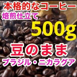 【送料無料】 焙煎仕立て コーヒー豆 500g 珈琲豆 焙煎コーヒー工場直売 ブレンドコーヒー 豆のまま レギュラーコーヒー ブラジル 他