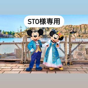 東京ディズニーシー　sto様専用ページ