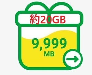 mineo マイネオ パケットギフト約20GB(9999MB２)　送料無料