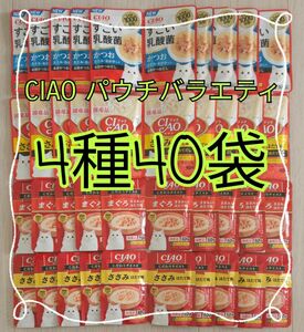 【4種40袋】CIAOチャオパウチバラエティ 国産品