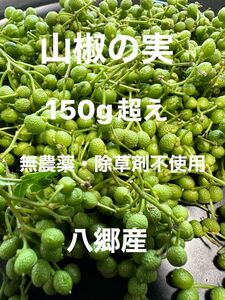 山椒の実　150g超え　無農薬