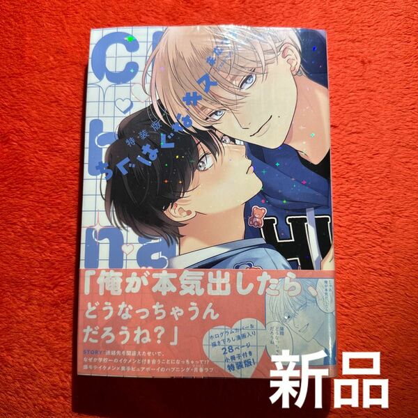 末広マチ 特装版 ちぐはぐなキス　BLコミック　新品