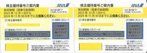 ANA株主優待券2枚。期間は2024年11月30日まで