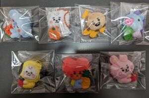 BTS　BT21 TSUTAYA 限定　フルーツマスコット