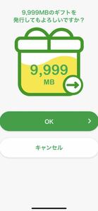 mineo マイネオパケットギフト　20GB（9,999MBx2）