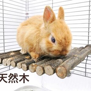 小動物 ステージ ステップ 止まり木 天然木 遊び場 ラット ハムスター 