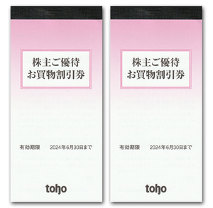 トーホー toho 株主優待お買物割引券10000円分 2024.6.30まで★即決で送料無料 A-プライス