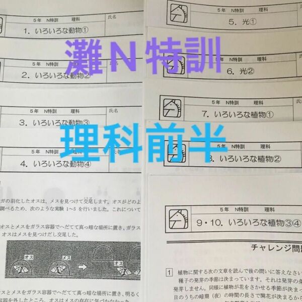 灘中 馬渕教室5N N特訓理科(前半)