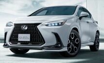 レクサスNX LEXUS NX フェンダーアーチモール（カラード）_画像1