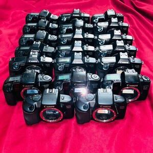 【ジャンク品】 [説明文必読] 一眼レフ フィルムカメラ ボディ Canon EOS 大量　合計２０台 まとめ売り お買い得品 キヤノン イオス