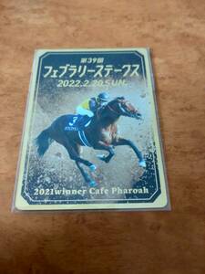 第39回フェブラリーステークス　東京競馬場現地配布カード　カフェファラオ