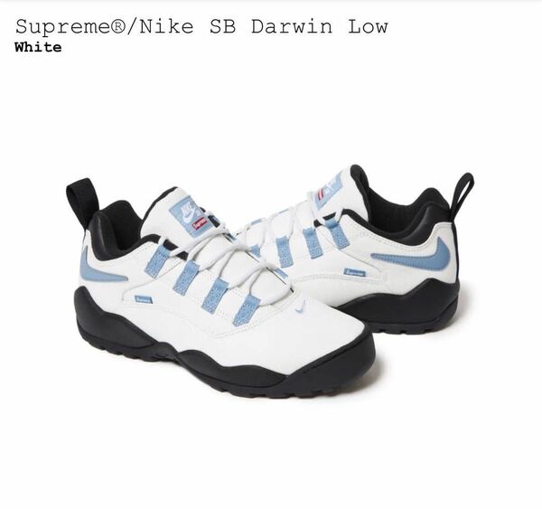 Supreme Nike SB Darwin Low white 24.5 シュプリーム ナイキ ダーウィン