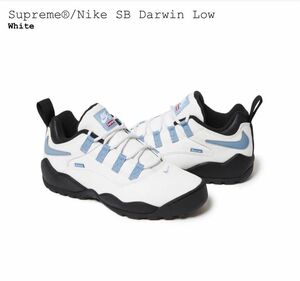 Supreme Nike SB Darwin Low white 27.0 シュプリーム ナイキ ダーウィン