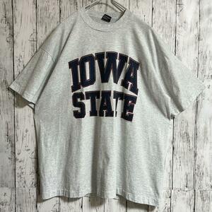 90's フルーツオブザルーム USA製 アメリカ製 ビンテージTシャツ グレー XL 90年代ヴィンテージ シングルステッチ US古着 HTK3933