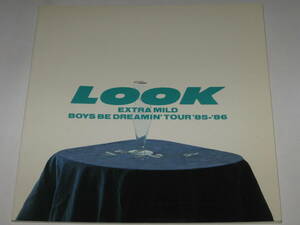 パンフレット LOOK EXTRA MILD BOYS BE DREAMIN'TOUR 85-86/ルック/鈴木トオル