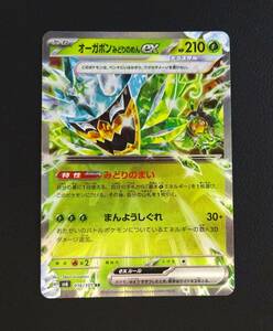 ☆ポケモンカード　オーガポンみどりのめんex RR　変幻の仮面 sv6