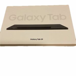 Galaxy Tab s9 Wi-Fiモデル