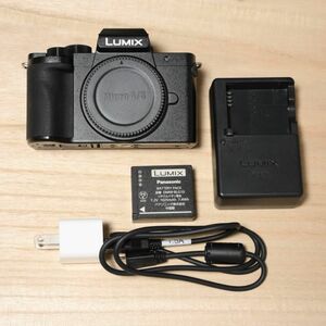 Panasonic ミラーレス一眼 LUMIX DC-G100 ボディ