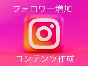 Instagram1000フォロワー増加するようにコンテンツを作成致します外国人減少生涯保証 YouTube tiktok Instagram フォロワーx