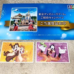 東京ディズニーリゾート スポンサーパスポート ペア 