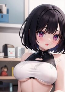 No.AR-0114 A4 アート ポスター 美少女 美女 高品質 イラスト 水着 制服 下着 女の子 かわいい 写真集 コスプレ セクシー 同人