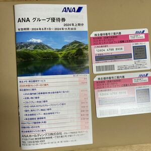 ANA 株主優待券　2枚　送料込み　