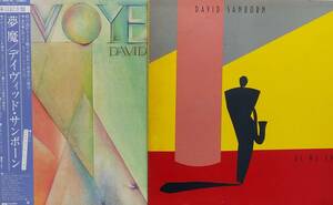 匿名・送料無料！　デイヴィッド・サンボーン/David Sanborn LP セット「ささやくシルエット/As We Speak　夢魔/Voyeur」