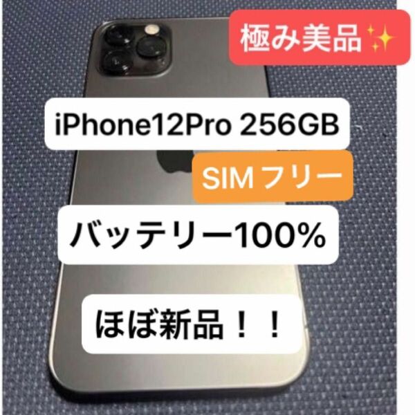 【ほぼ新品未使用、極み美品】 iPhone12 Pro 256GB バッテリー100% SIMフリー、値下げ不可×