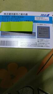 ANA株主優待券 １枚2024年5月31日まで