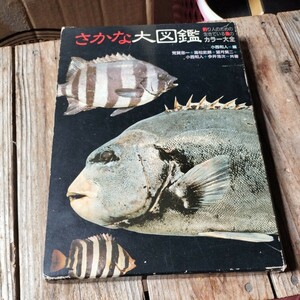 ☆さかな大図鑑 釣り人のための生きている魚のカラー大全 本 週刊釣りサンデー発行☆