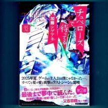 ◆送料込◆ Twitter文学賞受賞『チュベローズで待ってる AGE32』加藤シゲアキ（初版・元帯）◆（282）_画像1