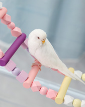 鳥 おもちゃ 鳥用品 止まり木 はしご ブランコ 階段 鳥かご アスレチック 遊び道具 バードトイ 木製 吊り下げ 小動物 爬虫類 インコ オウム_画像4