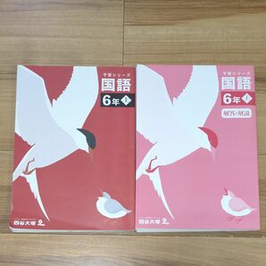 四谷大塚 予習シリーズ 国語 6年 上 書き込み無し