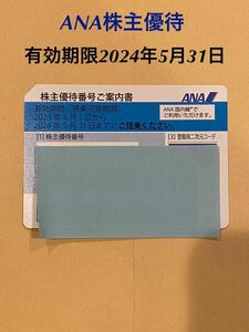 ANA 全日空 株主優待券 株主割引券 1枚