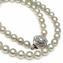 テリ良し!!◆アコヤ本真珠ネックレス◆M 約27.8g 約27.8cm 6.0-7.0mm珠 pearl パール jewelry necklace ジュエリー DB0/DD0_画像1