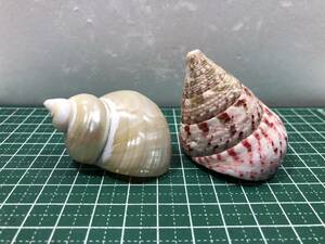 oka hermit crab . change for @. largish size! 2 piece set (N1)