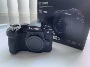 美品 ショット数300 LUMIX DC-G99D　ボディ　パナソニック