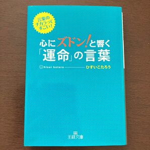 心にズドン！と響く「運命」の言葉　言葉のチカラってすごい！ （王様文庫　Ｄ３１－２） ひすいこたろう／著