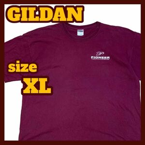 【US古着】GILDAN 半袖 両面プリント Tシャツ ワインレッド XLサイズ