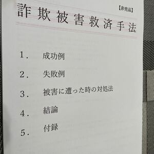 詐欺被害者救済手法　(ダイジェスト版)2024.5.30