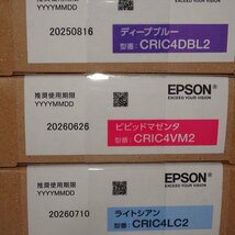 6色9本 EPSON CRIC4GY2 2本/BK2/DBL2/C2 3本/VM2/LC2 インク 【送料無料! 未使用!! 純正!!! 保証あり!!!! お買い得!!!!!】NO.5360_画像6