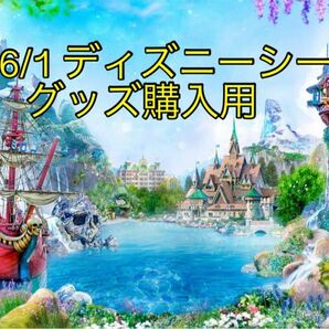 【最終値下げ】ディズニーチケット グッズ購入用