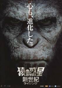 ★映画チラシ★猿の惑星　新世記ライジング ver1